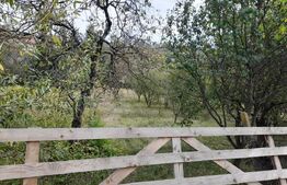 Teren Intravilan,750 mp, zona ROMBAT