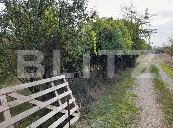 Teren de vânzare Centura - 158947TV | BLITZ Bistriţa | Poza2