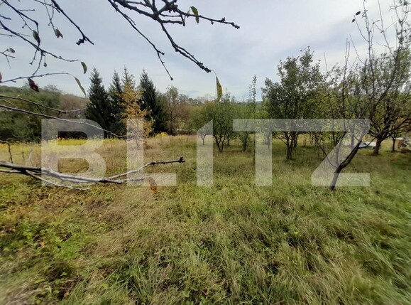 Teren de vânzare Centura - 158947TV | BLITZ Bistriţa | Poza5