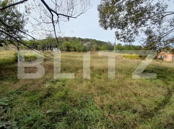 Teren de vânzare Centura - 158947TV | BLITZ Bistriţa | Poza1