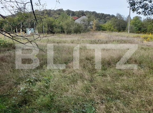 Teren de vânzare Centura - 158947TV | BLITZ Bistriţa | Poza3