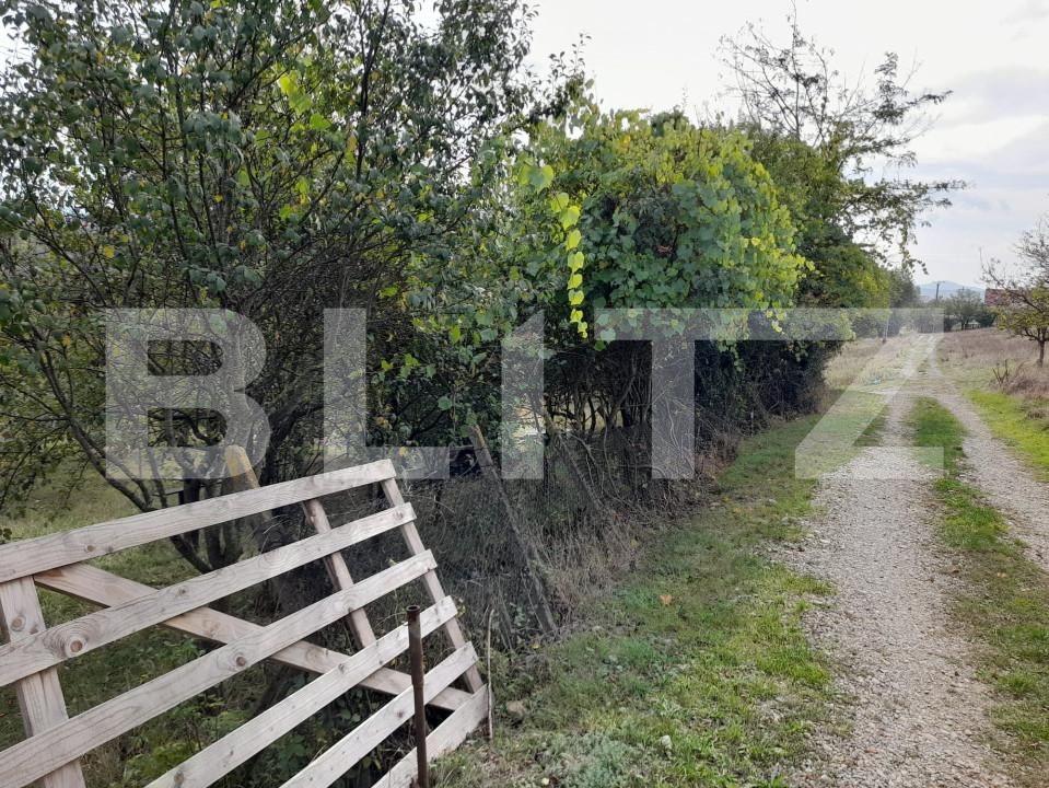 Teren de vânzare Centura - 158947TV | BLITZ Bistriţa | Poza2