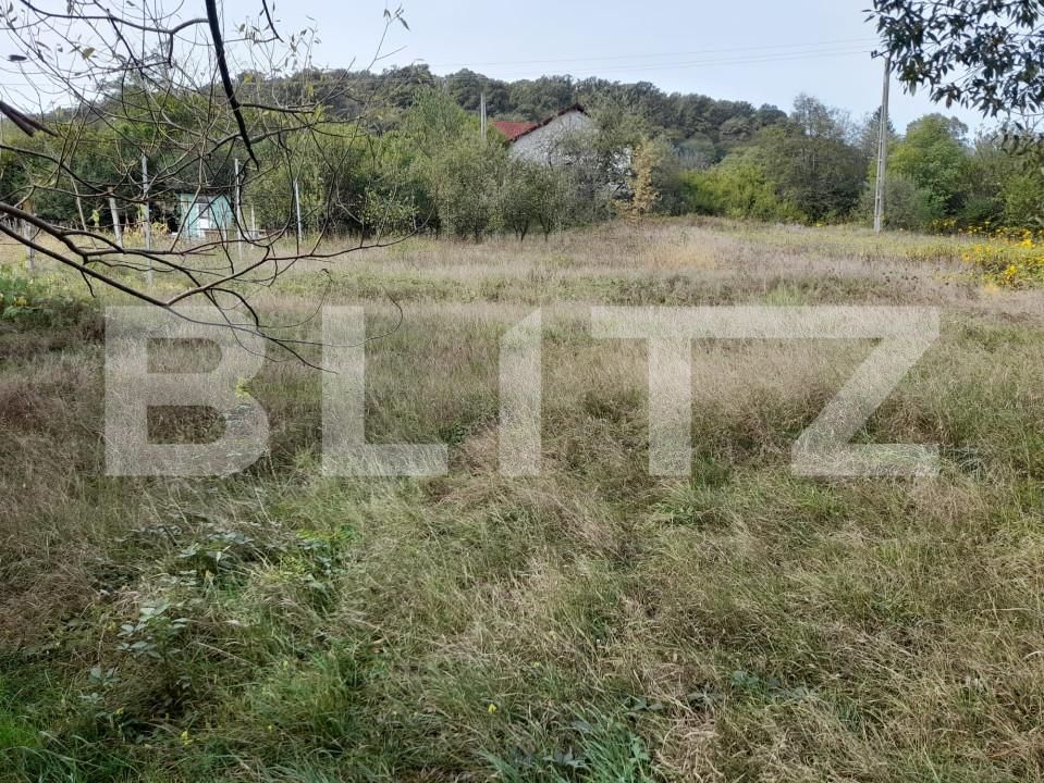 Teren de vânzare Centura - 158947TV | BLITZ Bistriţa | Poza3