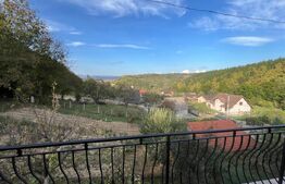 Casa de Vanzare, la podul jelnei ,cca 220mp.