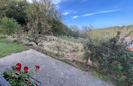 Casa de Vanzare, la podul jelnei ,cca 220mp.