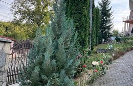 Casa de Vanzare, la podul jelnei ,cca 220mp.