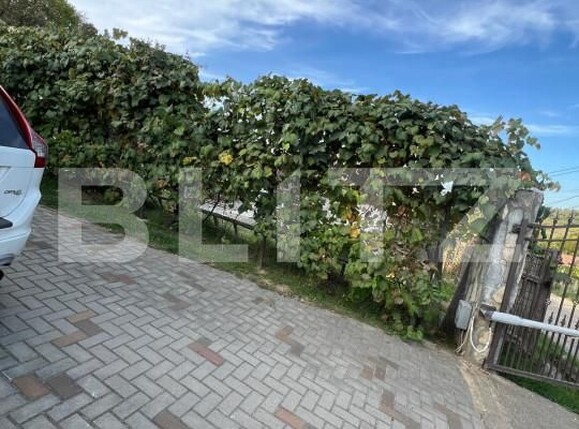 Casa de vânzare 4 camere Ștefan cel Mare - 158998CV | BLITZ Bistriţa | Poza25