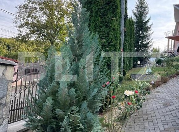 Casa de vânzare 4 camere Ștefan cel Mare - 158998CV | BLITZ Bistriţa | Poza21