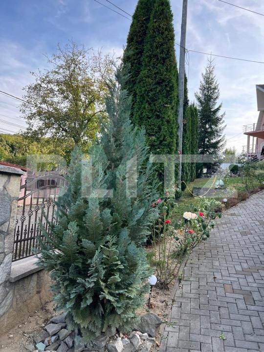 Casa de vânzare 4 camere Ștefan cel Mare - 158998CV | BLITZ Bistriţa | Poza21