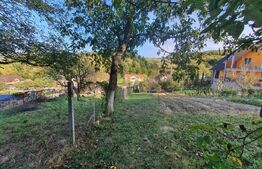 Teren intravilan, podul Jelnei foarte aproape de oras,11 Arii.