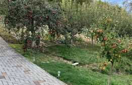 Teren intravilan, podul Jelnei foarte aproape de oras,11 Arii.