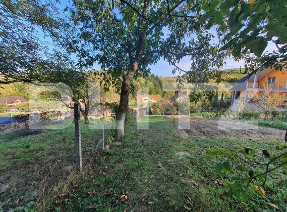 Teren de vânzare Ștefan cel Mare - 159066TV | BLITZ Bistriţa | Poza3