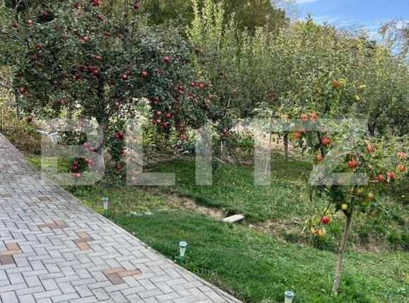 Teren de vânzare Ștefan cel Mare - 159066TV | BLITZ Bistriţa | Poza6