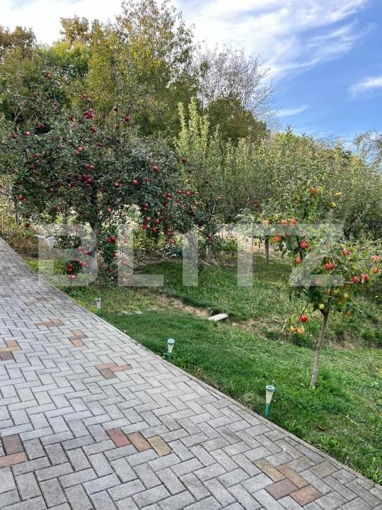 Teren de vânzare Ștefan cel Mare - 159066TV | BLITZ Bistriţa | Poza6