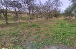 Casa 2 camere, 124mp utili, teren imprejmuit 3500mp, comuna Matei