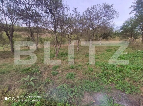 Casa de vânzare 3 camere Lechinta - 159150CV | BLITZ Bistriţa | Poza14