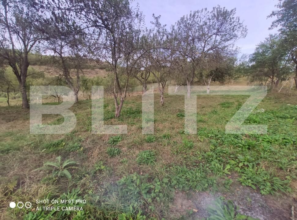 Casa de vânzare 3 camere Lechinta - 159150CV | BLITZ Bistriţa | Poza14