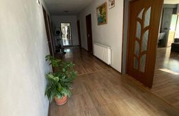 Casa individuala 149mp, 6 ari de teren, Unirea