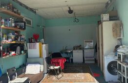 Casa individuala 149mp, 6 ari de teren, Unirea