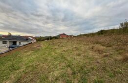 Teren Intravilan, 2000 mp, zona Crainimat