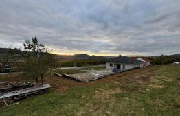 Teren Intravilan, 2000 mp, zona Crainimat