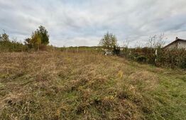 Teren Intravilan, 2000 mp, zona Crainimat