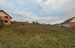 Teren Intravilan, 2000 mp, zona Crainimat