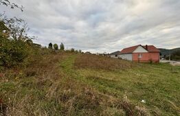 Teren Intravilan, 2000 mp, zona Crainimat