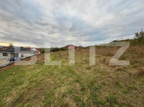 Teren de vânzare Exterior Sud - 159356TV | BLITZ Bistriţa | Poza3