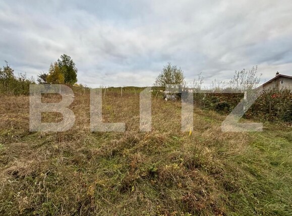 Teren de vânzare Exterior Sud - 159356TV | BLITZ Bistriţa | Poza4