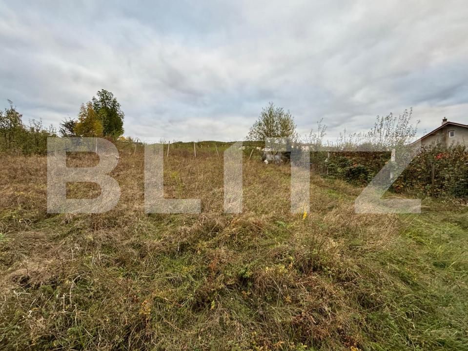 Teren de vânzare Exterior Sud - 159356TV | BLITZ Bistriţa | Poza4