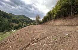 Teren intravilan 1,1 Ha, zona Bargau