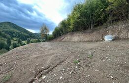 Teren intravilan 1,1 Ha, zona Bargau