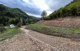 Teren intravilan 1,1 Ha, zona Bargau