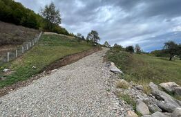 Teren intravilan 1,1 Ha, zona Bargau