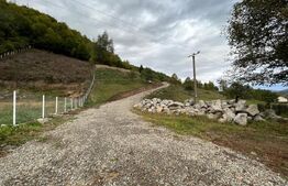 Teren intravilan 1,1 Ha, zona Bargau