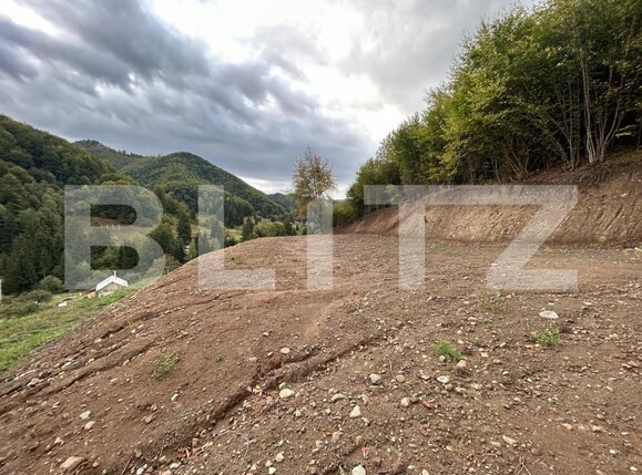 Teren de vânzare Nord-Vest - 159451TV | BLITZ Bistriţa | Poza6