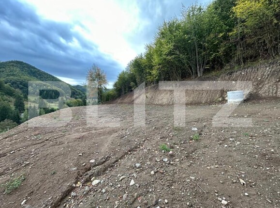 Teren de vânzare Nord-Vest - 159451TV | BLITZ Bistriţa | Poza2