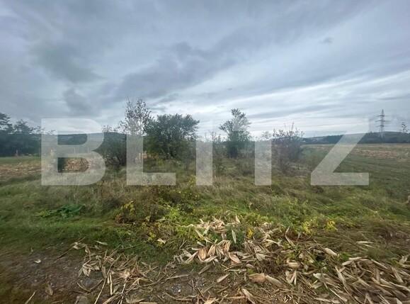 Teren de vânzare Nord - 159468TV | BLITZ Bistriţa | Poza1