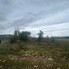 Teren de vânzare Nord - 159468TV - Poza 1 din 3 | BLITZ Bistriţa | Poza2