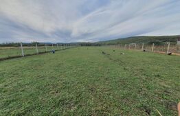 Casa de vanzare, 320 mp, in apropiere de Bistrita