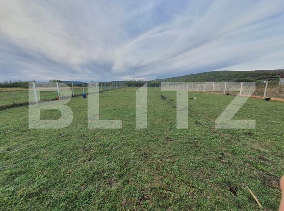 Casa de vânzare 4 camere Periferie - 159495CV | BLITZ Bistriţa | Poza10