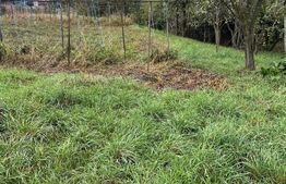 Teren de vanzare in Teaca, 17 arii la drumul principal 