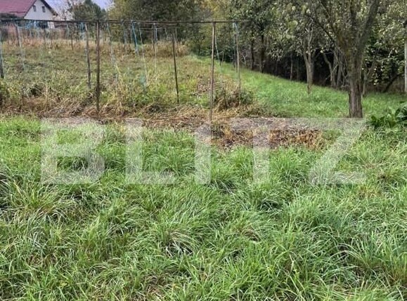 Teren de vânzare Central - 159561TV | BLITZ Bistriţa | Poza1