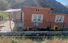 Casa spatioasa in  Sânmihaiu de Câmpie