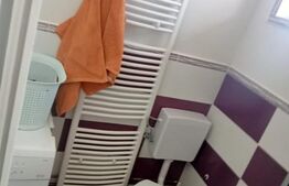 Casa spatioasa in  Sânmihaiu de Câmpie