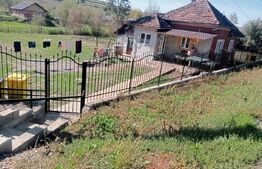 Casa spatioasa in  Sânmihaiu de Câmpie