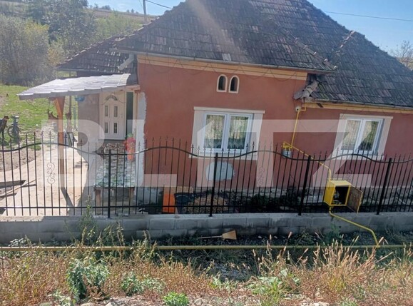 Casa de vânzare 2 camere Exterior Vest - 159645CV | BLITZ Bistriţa | Poza10