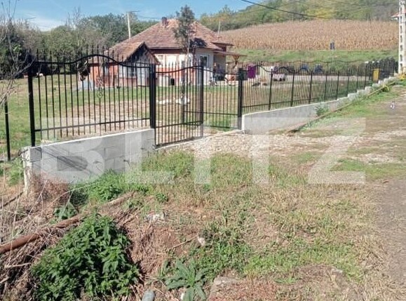 Casa de vânzare 2 camere Exterior Vest - 159645CV | BLITZ Bistriţa | Poza11