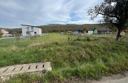 Teren de Vanzare, foarte aproape de Crama Jelna 